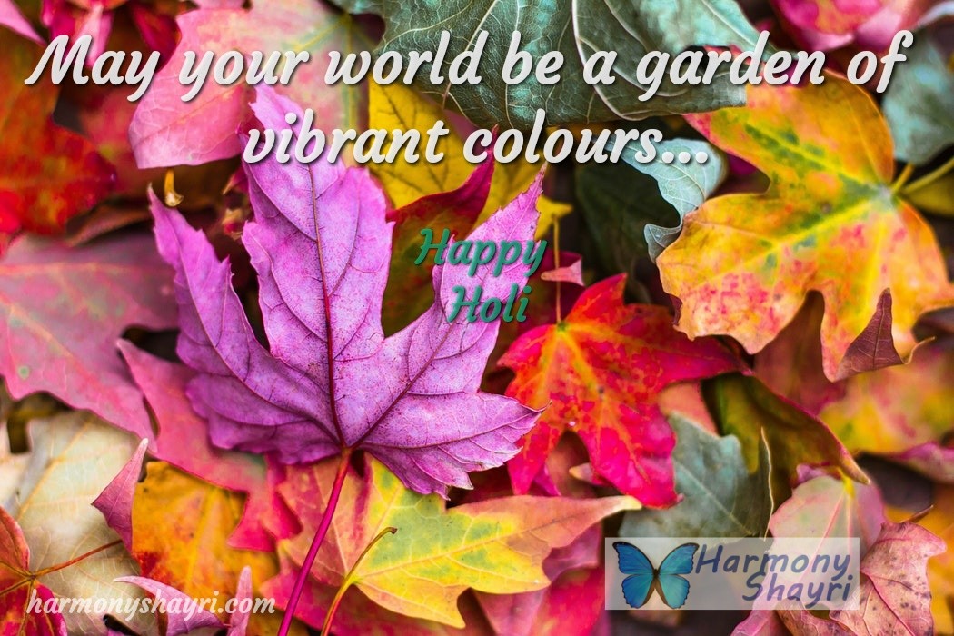 Garden of vibrant colour – Happy Holi