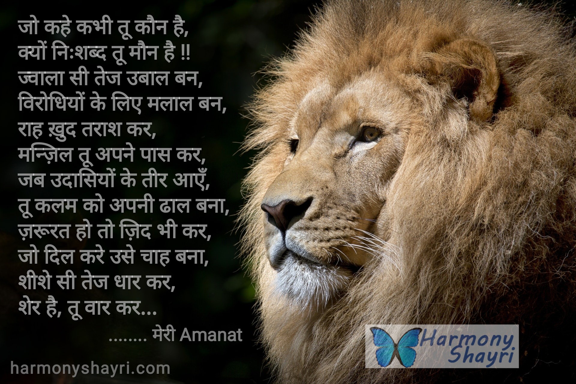 शेर है तू वार कर – मेरी Amanat