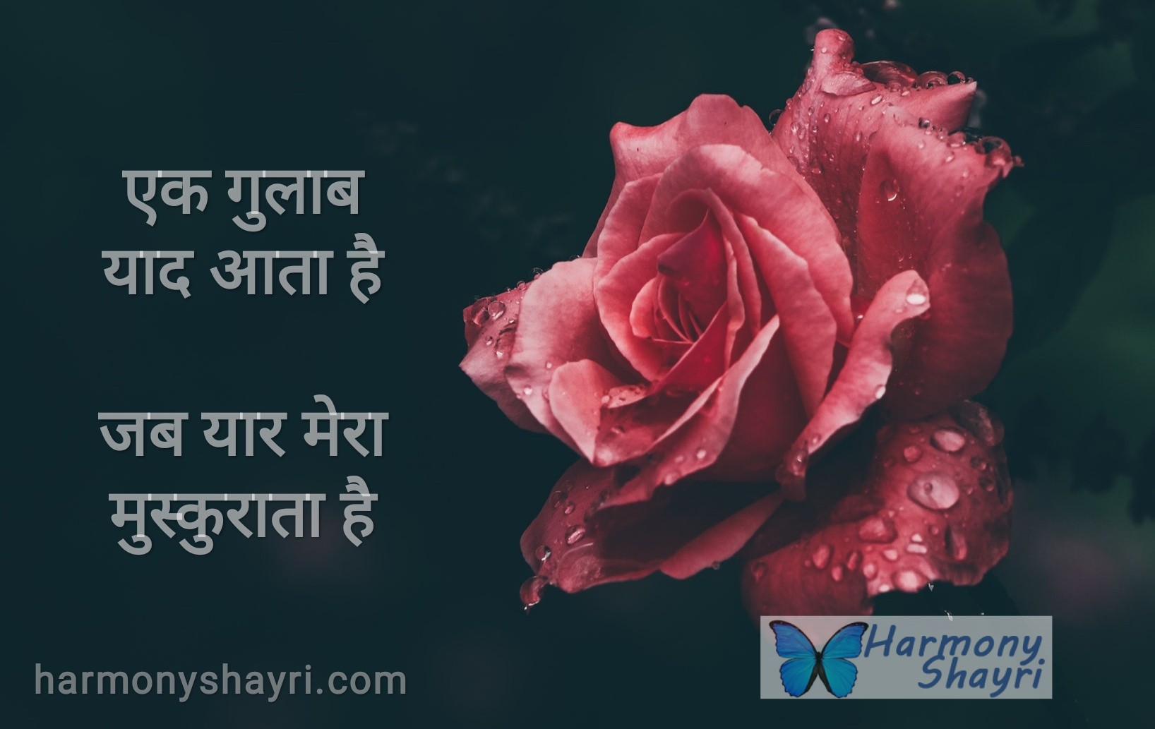 Ek gulab yaad aata hai – Happy Rose Day