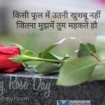 Kisi phool mein utni khushboo nahi – Happy Rose Day