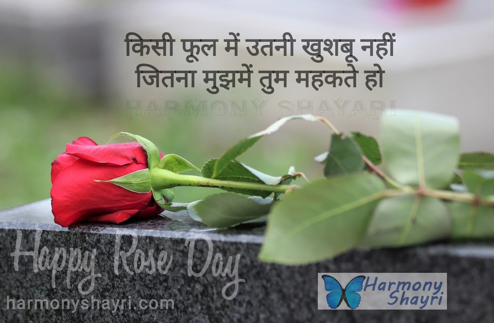 Kisi phool mein utni khushboo nahi – Happy Rose Day