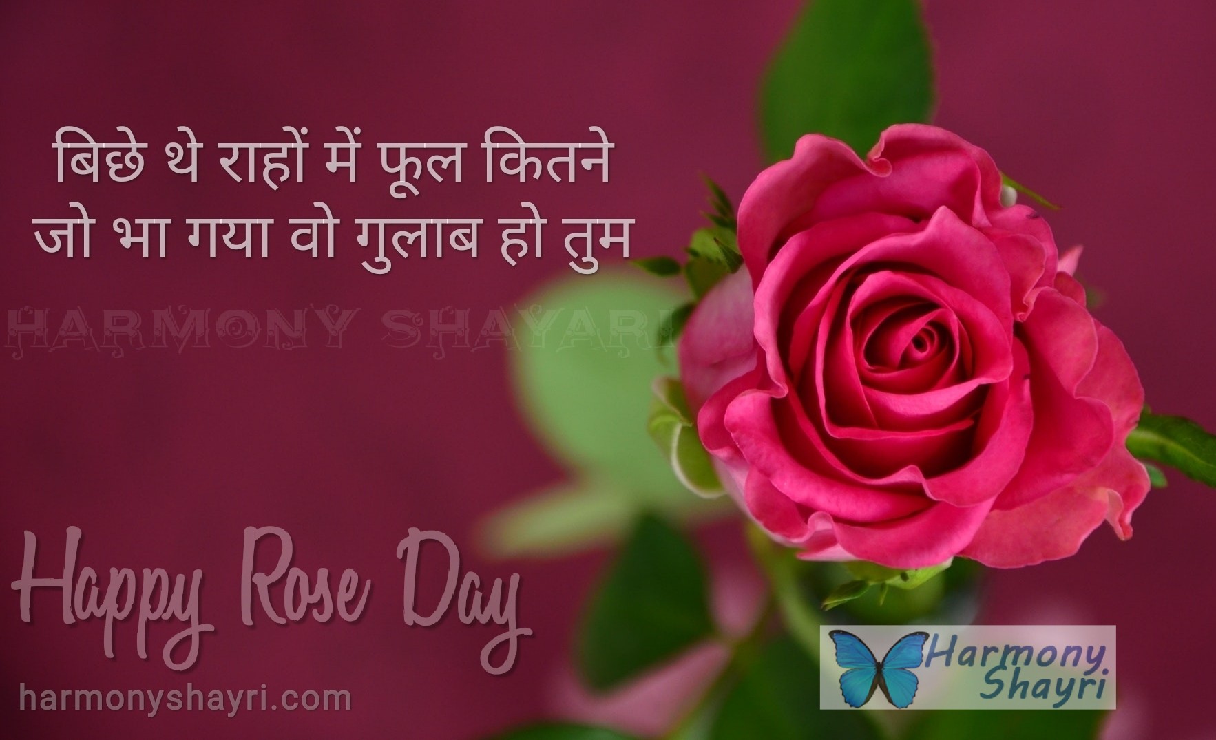 Bichhe the raahon mein – Happy Rose Day