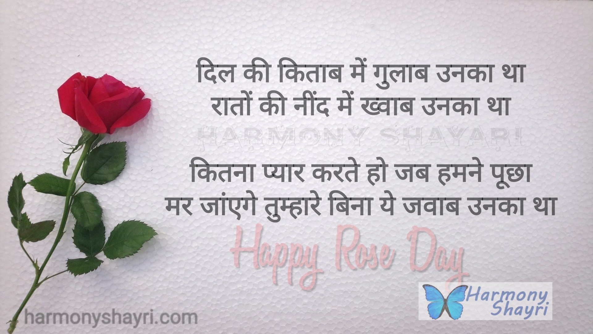 Dil ki kitaab mein gulab – Happy Rose Day