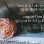 Mohabbat hi to hai – Happy Rose Day
